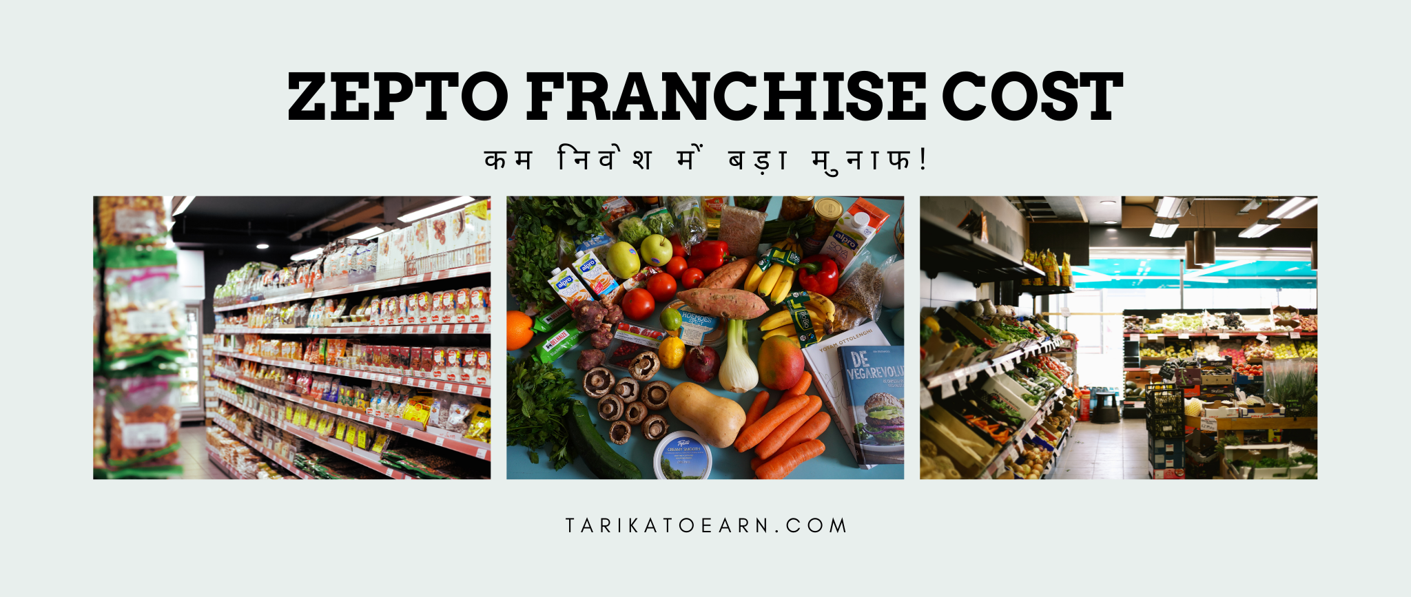 ZEPTO franchise cost