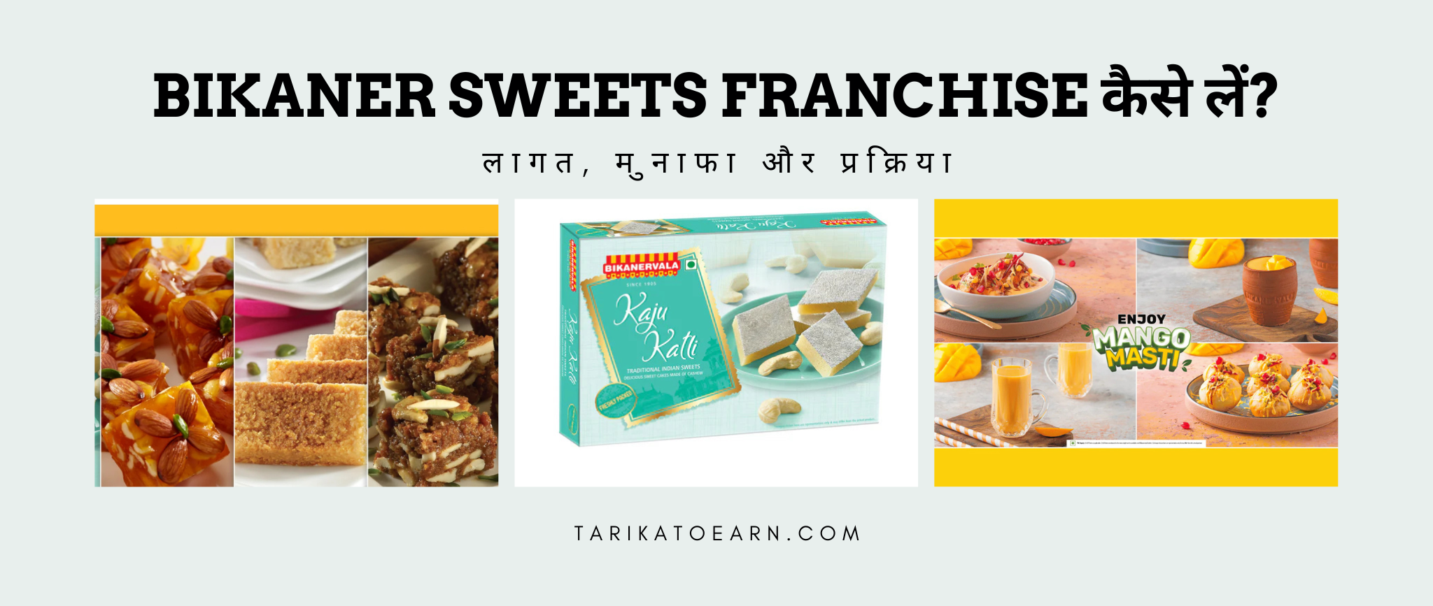 Bikaner Sweets Franchise